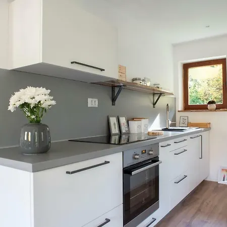 Vakantiehuis Woodywood House Bohinj