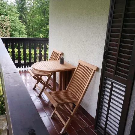 Woodywood House Bohinj *