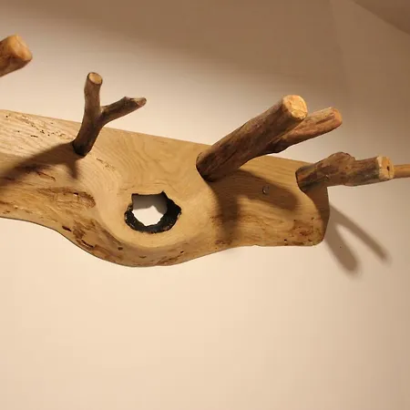 Woodywood House Bohinj בית נופש *